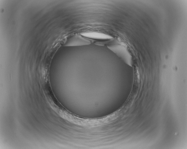 X0000087570031200705112224