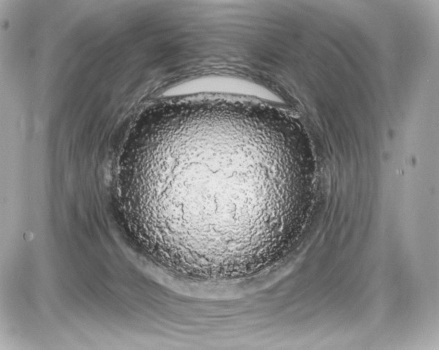 X0000087570032200705112224