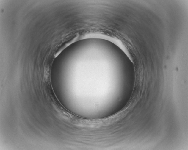 X0000087570033200705112224