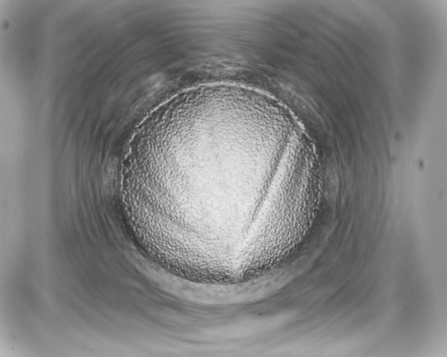 X0000087570034200705112224