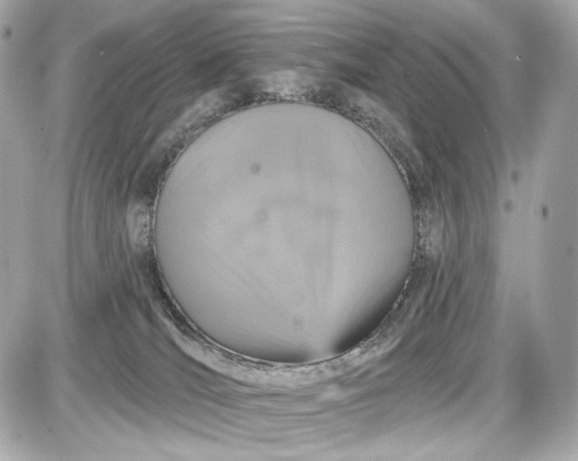 X0000087570036200705112223