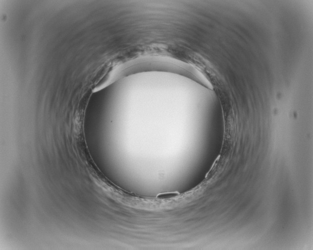 X0000087570037200705112223