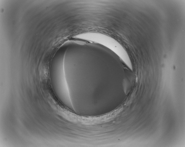 X0000087570039200705112223