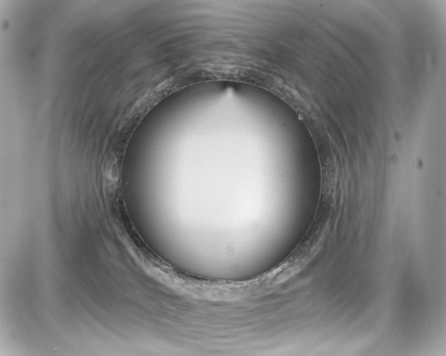 X0000087570040200705112223