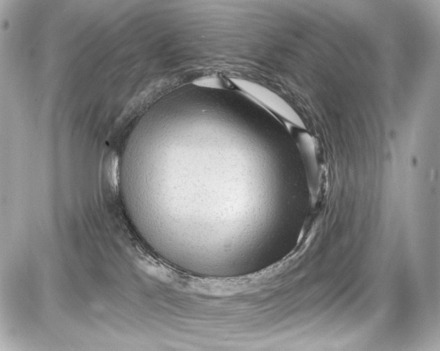 X0000087570041200705112223