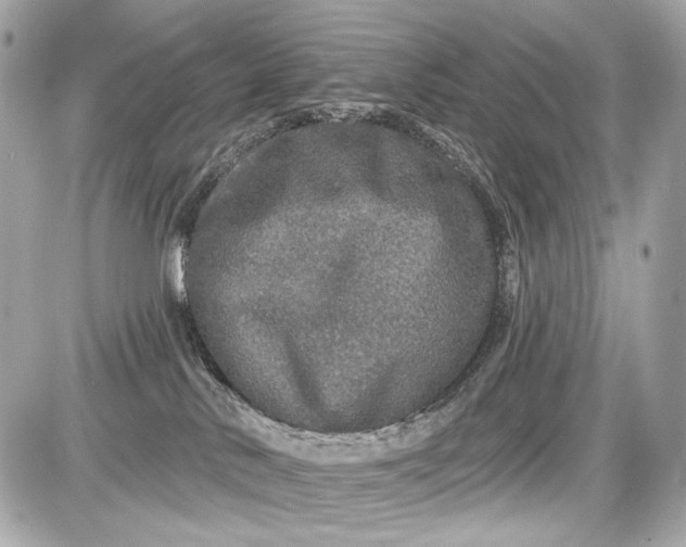 X0000087570042200705112223