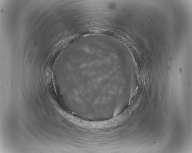 X0000087570043200705112223