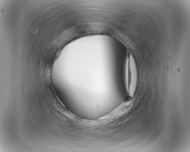 X0000087570045200705112223