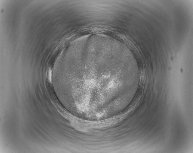 X0000087570046200705112223