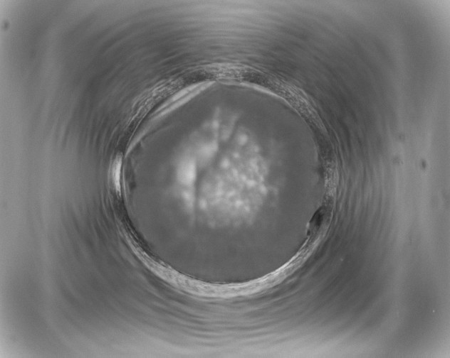 X0000087570047200705112223