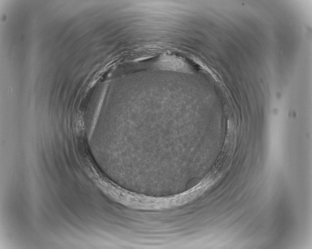 X0000087570048200705112223