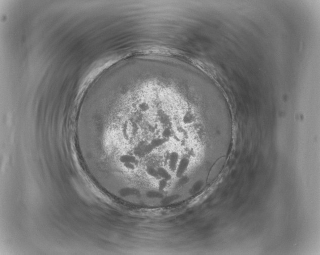 X0000087570049200705112223