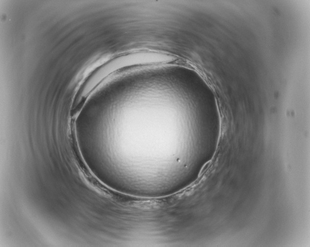 X0000087570050200705112223