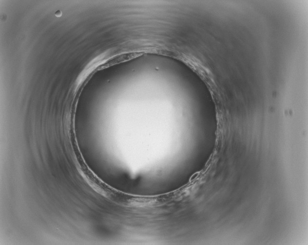 X0000087570051200705112223