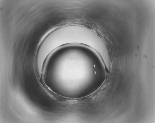 X0000087570052200705112223