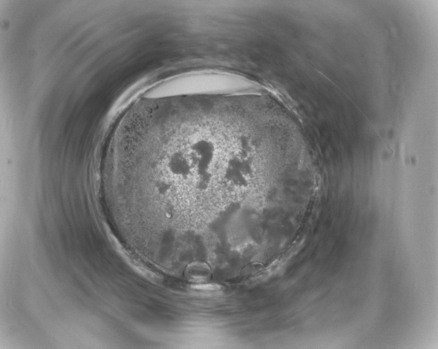 X0000087570053200705112223