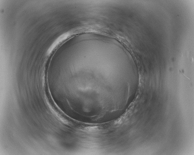 X0000087570054200705112223