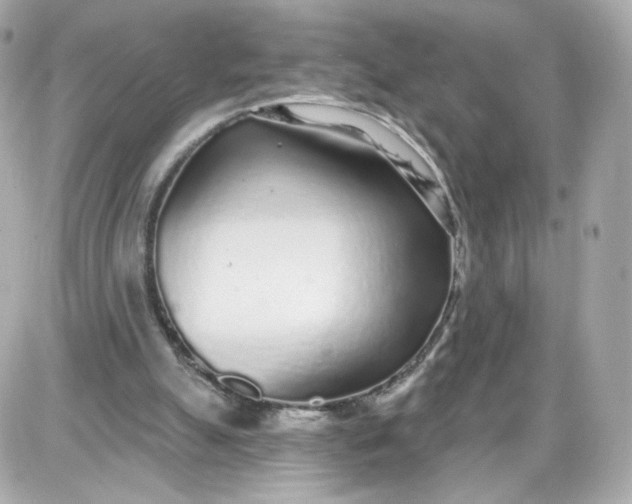 X0000087570055200705112223