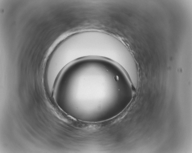 X0000087570056200705112223