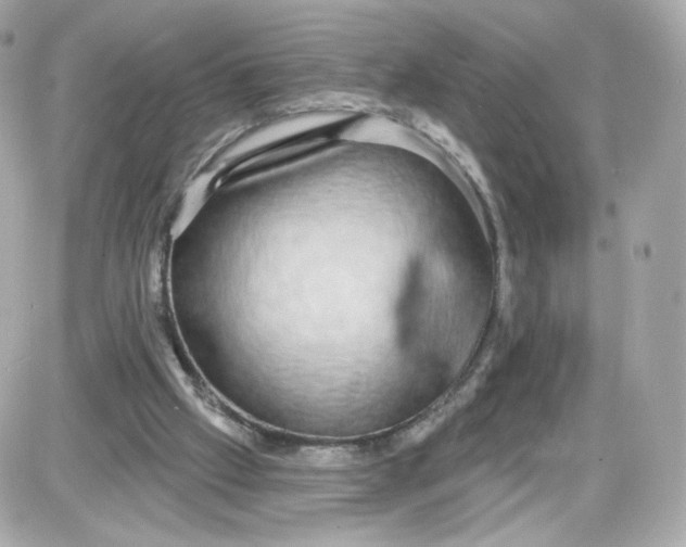 X0000087570057200705112223