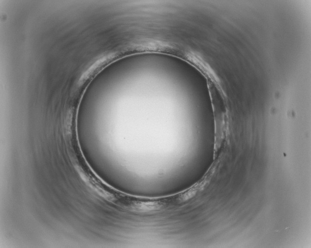 X0000087570058200705112223