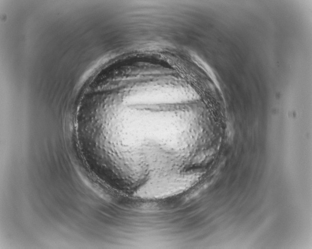 X0000087570059200705112223