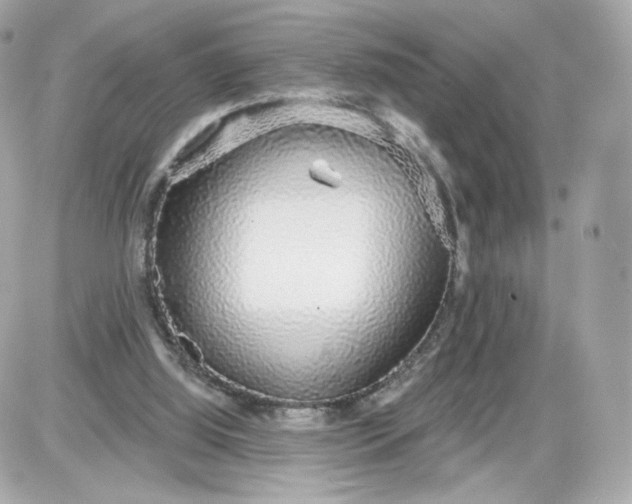 X0000087570060200705112223