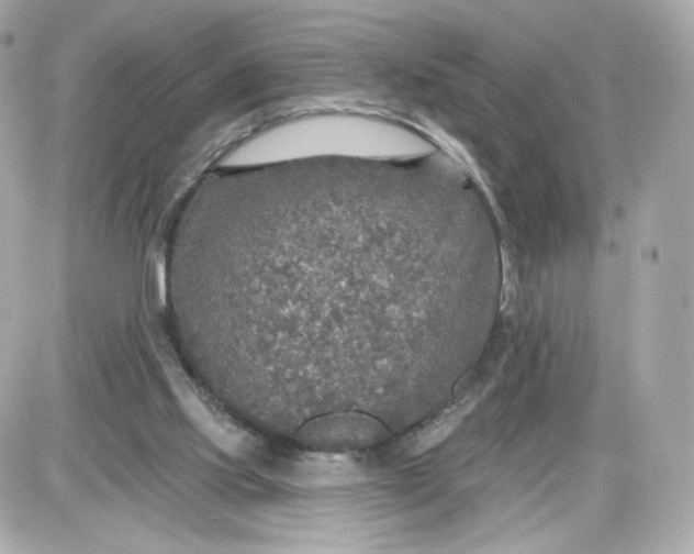 X0000087570061200705112223