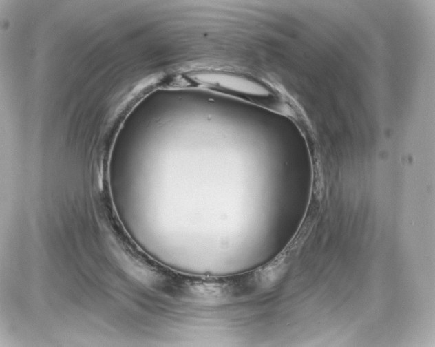 X0000087570062200705112223