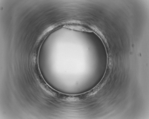 X0000087570063200705112223