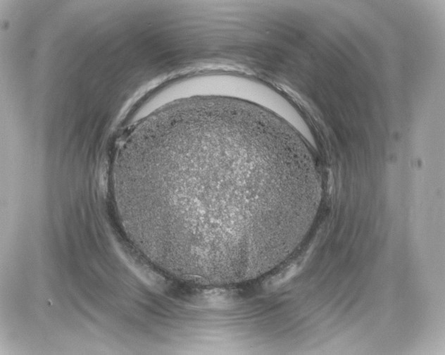 X0000087570064200705112223