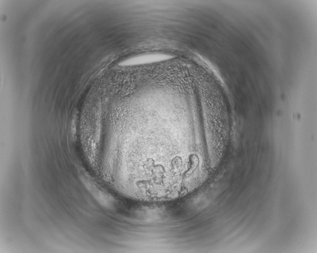 X0000087570065200705112223