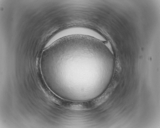 X0000087570066200705112223