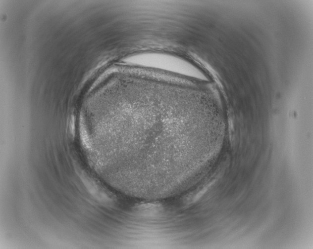 X0000087570067200705112223