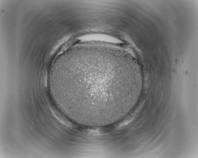 X0000087570068200705112223