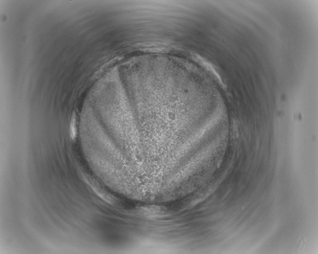 X0000087570069200705112223