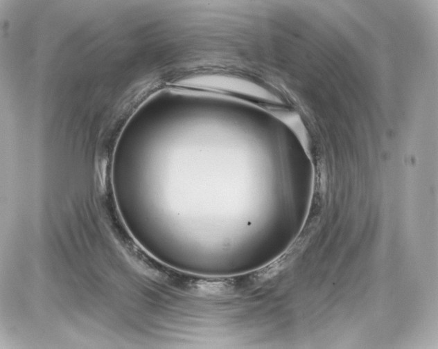 X0000087570070200705112223