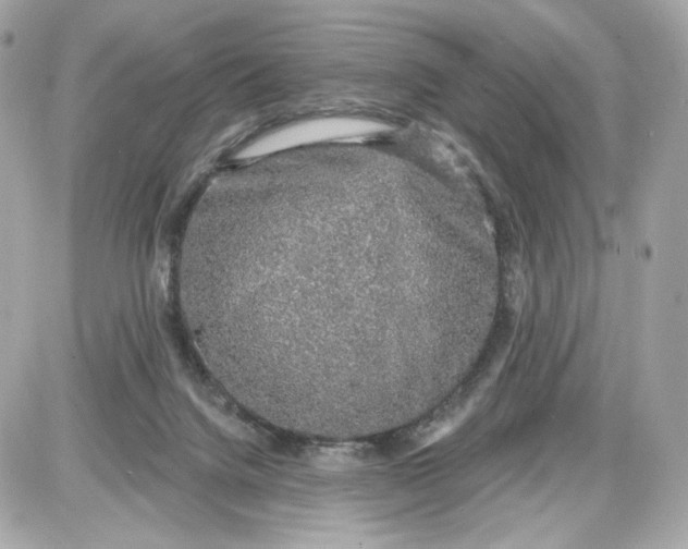 X0000087570072200705112223