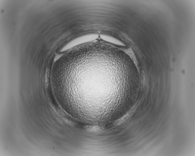 X0000087570074200705112223