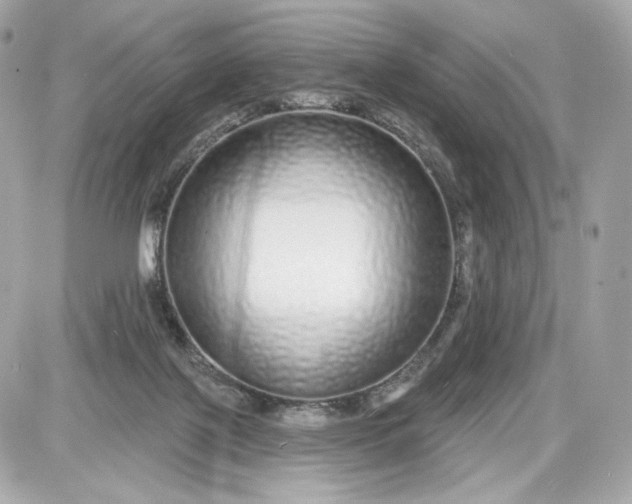 X0000087570075200705112223