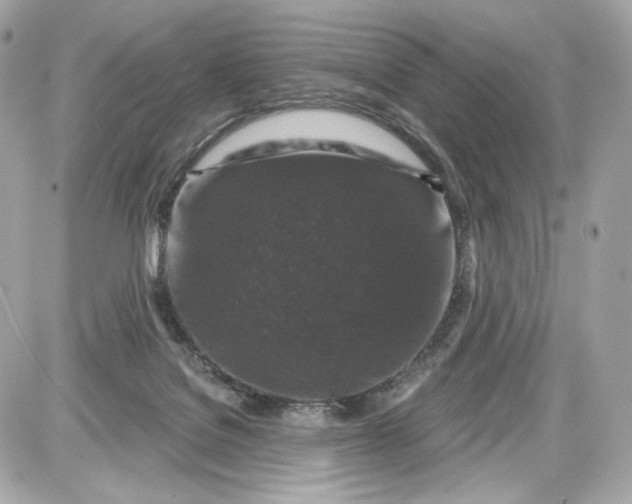 X0000087570076200705112223