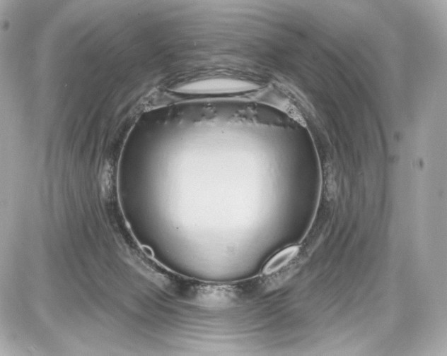 X0000087570077200705112223