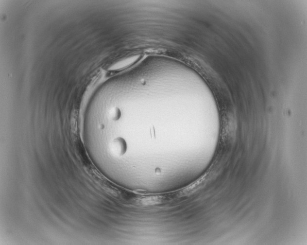 X0000087570078200705112223