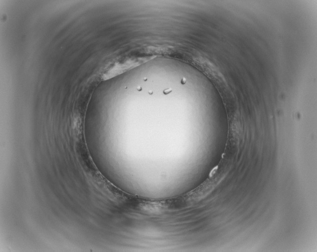 X0000087570079200705112223