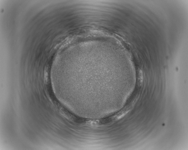 X0000087570080200705112223