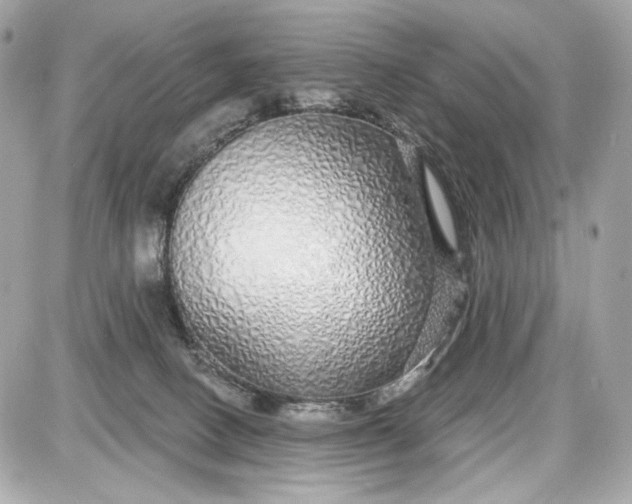 X0000087570082200705112223