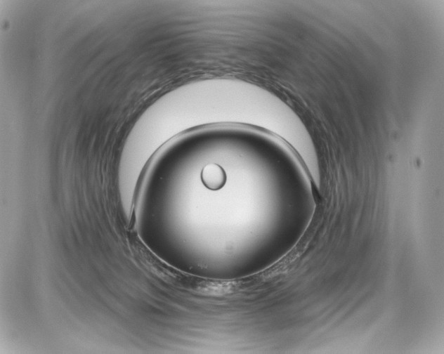 X0000087570084200705112223