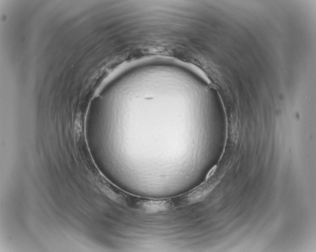 X0000087570085200705112223