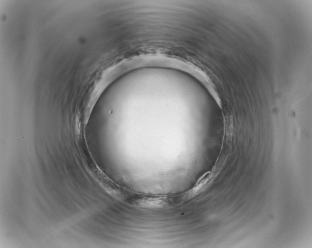 X0000087570086200705112223