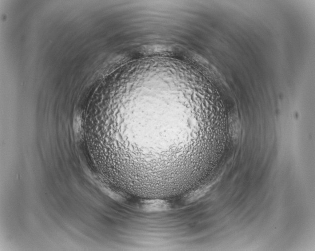 X0000087570087200705112223